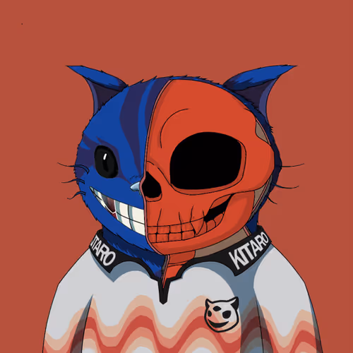 Kitaro Anatomy
