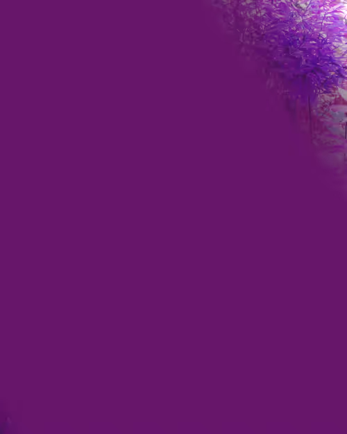 Item #2000200018 Media