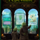 PEPEVAULT
