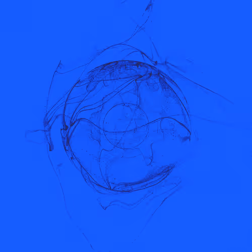 Entangled 3