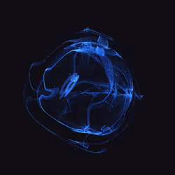 215