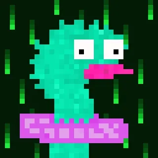 Canto Long Necks