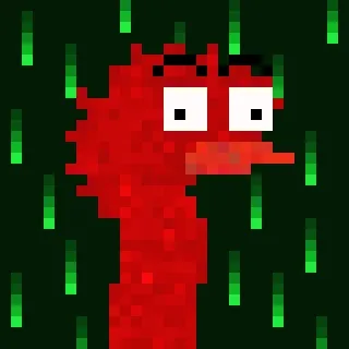 Canto Long Necks