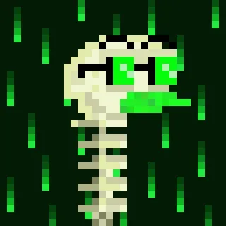 Canto Long Necks