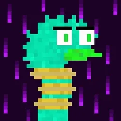 Canto Longneck #1890