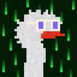 Canto Longneck #922