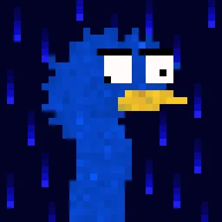 Canto Long Necks
