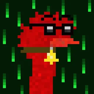 Canto Long Necks