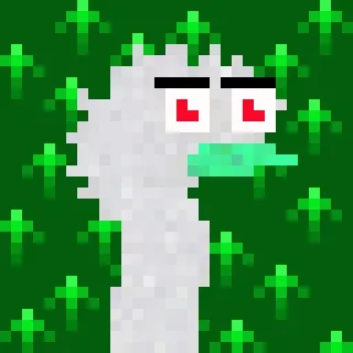 Canto Long Necks