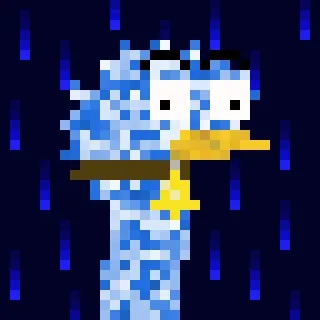 Canto Longneck #1896