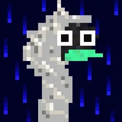 Canto Longneck #2020