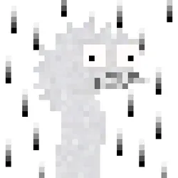 Canto Longneck #864