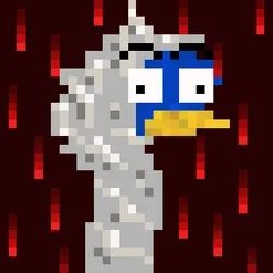 Canto Longneck #706