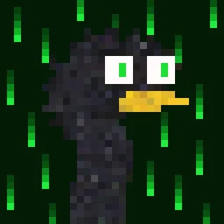 Canto Long Necks