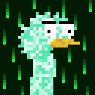 Canto Long Necks
