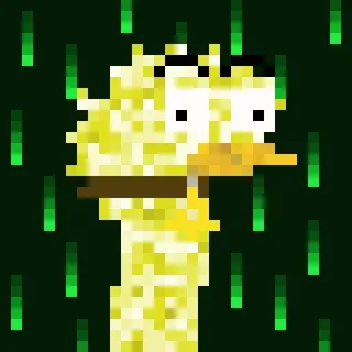 Canto Long Necks