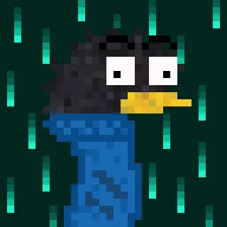 Canto Long Necks