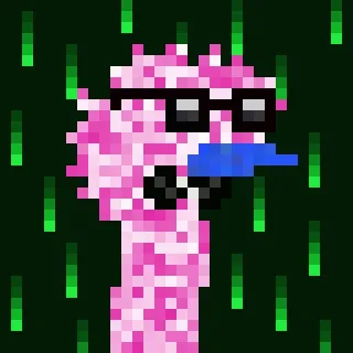 Canto Long Necks