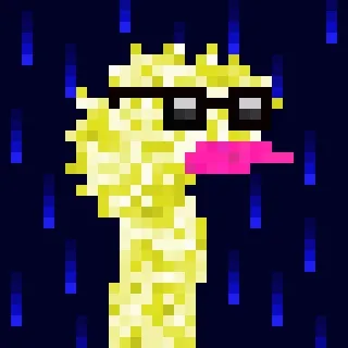 Canto Long Necks