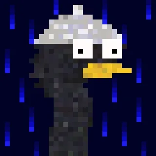 Canto Long Necks