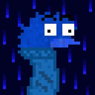 Canto Long Necks
