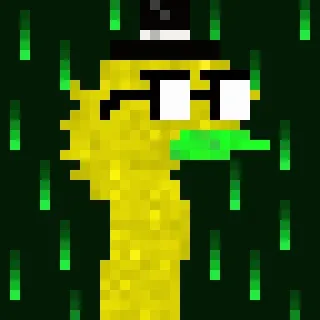 Canto Long Necks