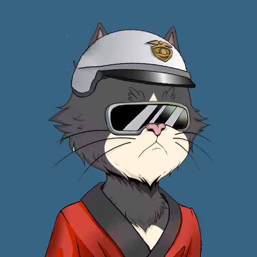 Angry Cat YC #1145