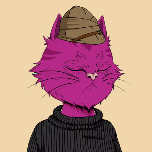 Angry Cat YC #1254
