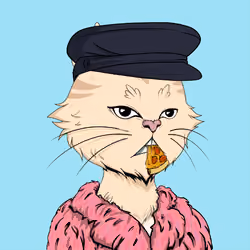 Angry Cat YC #2008
