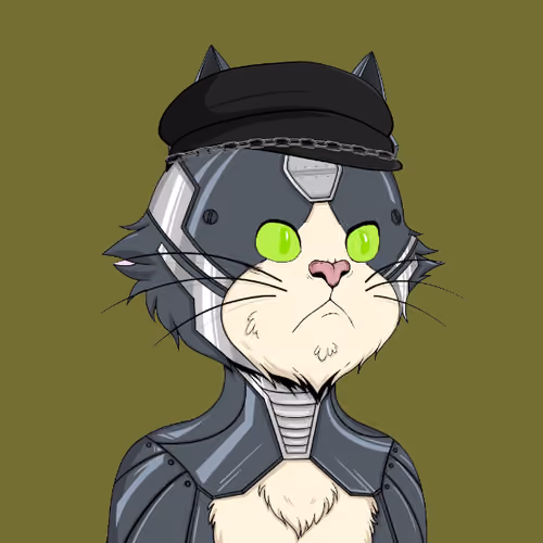 Angry Cat YC #1734