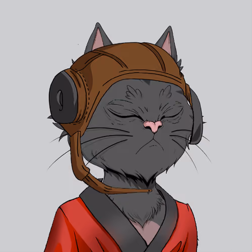 Angry Cat YC #1161