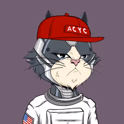 403