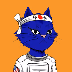 Angry Cat YC #2620