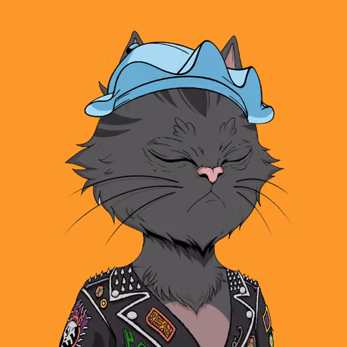 Angry Cat YC #1507