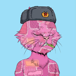 Angry Cat YC #2013
