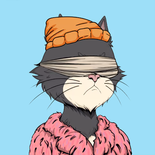 Angry Cat YC #1499