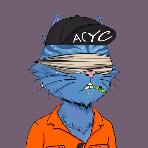 Angry Cat YC #2628