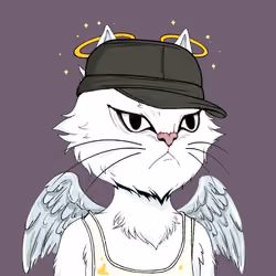 Angry Cat YC #2617