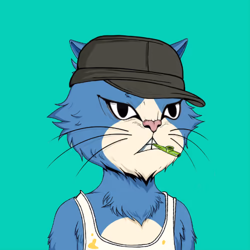Angry Cat YC #2649