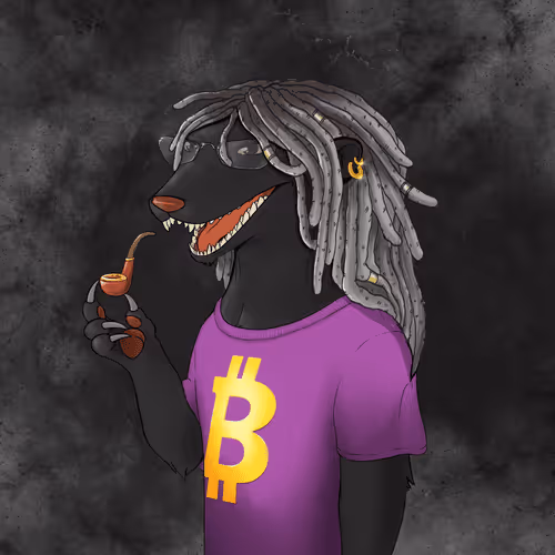 Nfhoneybadgers