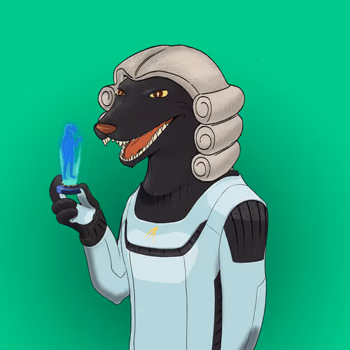 Nfhoneybadgers