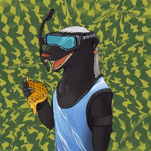 Nfhoneybadgers