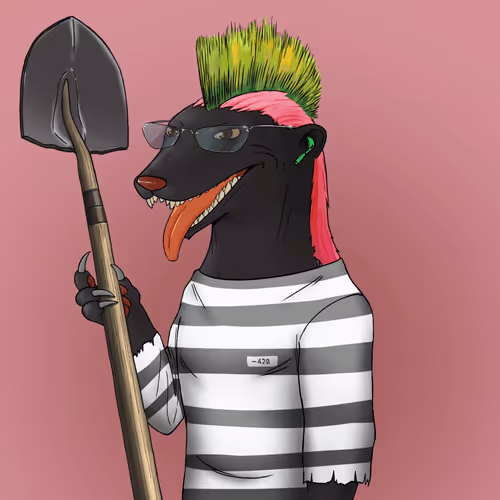 Nfhoneybadgers