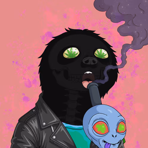 Every Time High