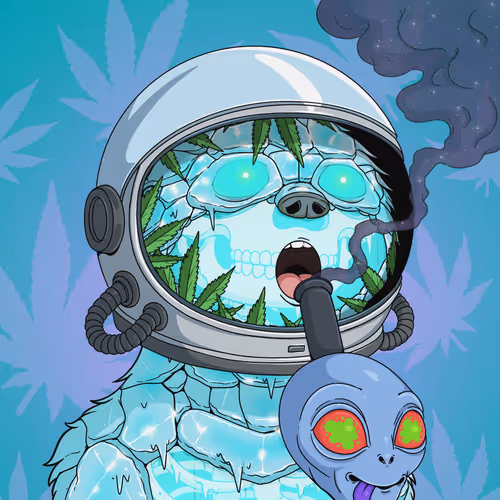 Every Time High