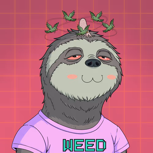 Every Time High