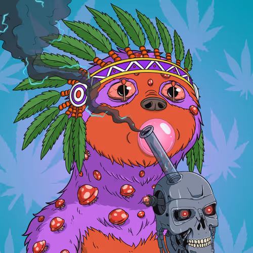 Every Time High