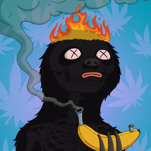 Every Time High