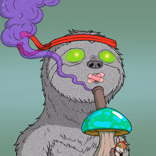 Every Time High