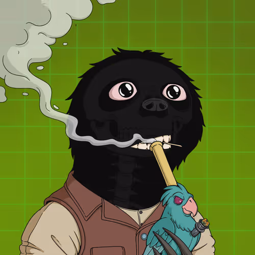 Every Time High